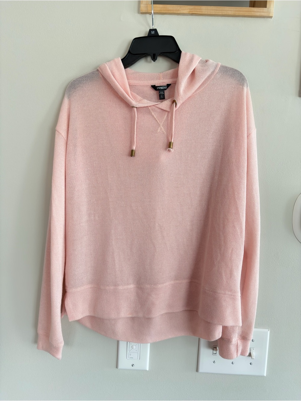 Express Soft Pink Hooded Knit Pullover